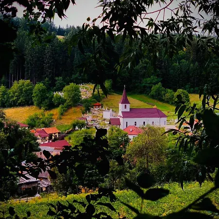 Villa Casa Fratila *