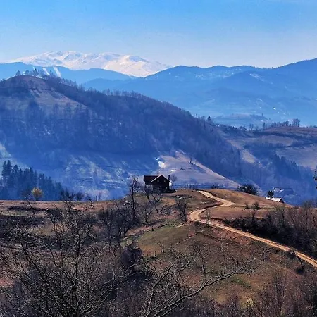 Villa Casa Fratila Holbav