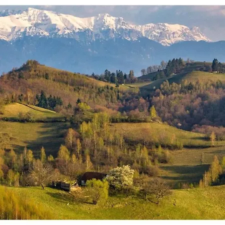 Casa Fratila * Holbav