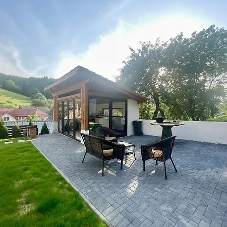 Casa Fratila Villa *